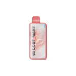 Lost Mary MT50K Disposable Vape - Juicy Peach Ice